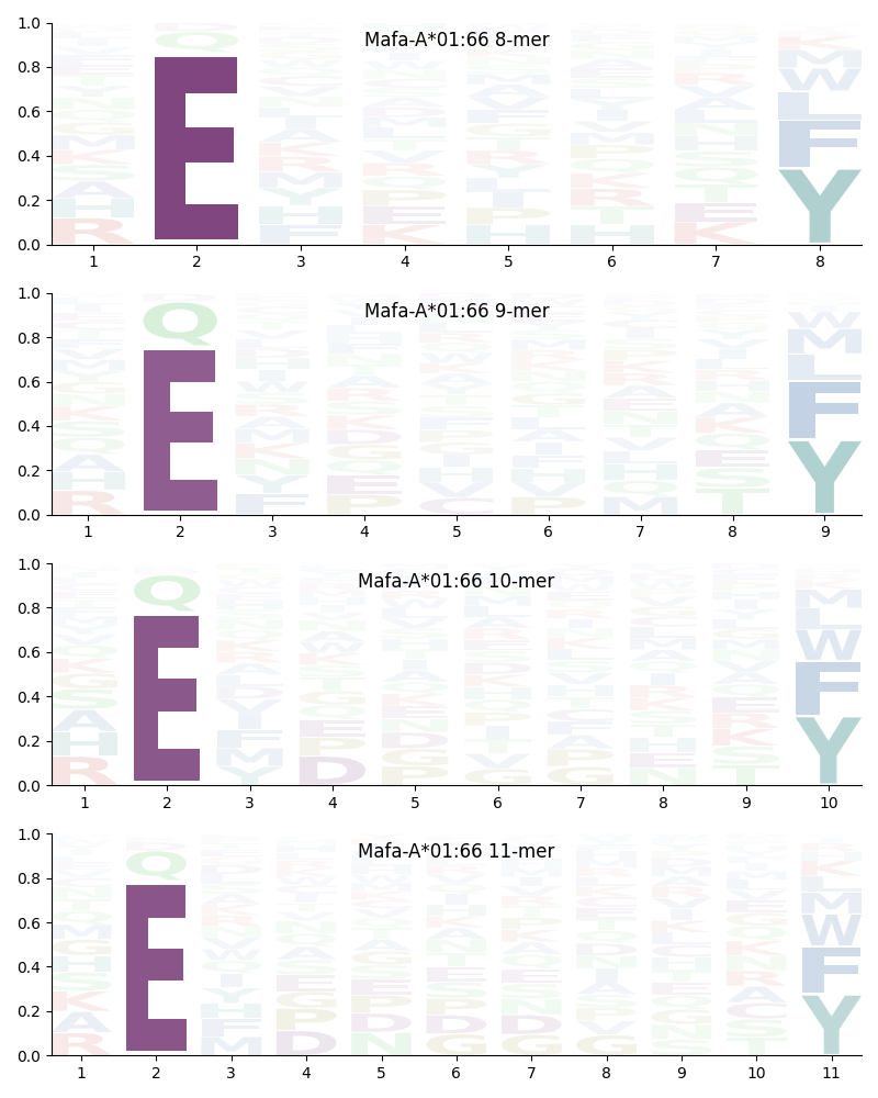 Mafa-A*01:66 motif