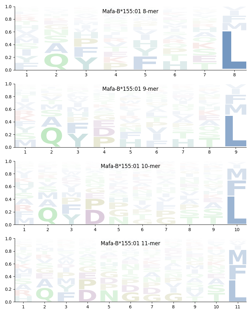 Mafa-B*155:01 motif