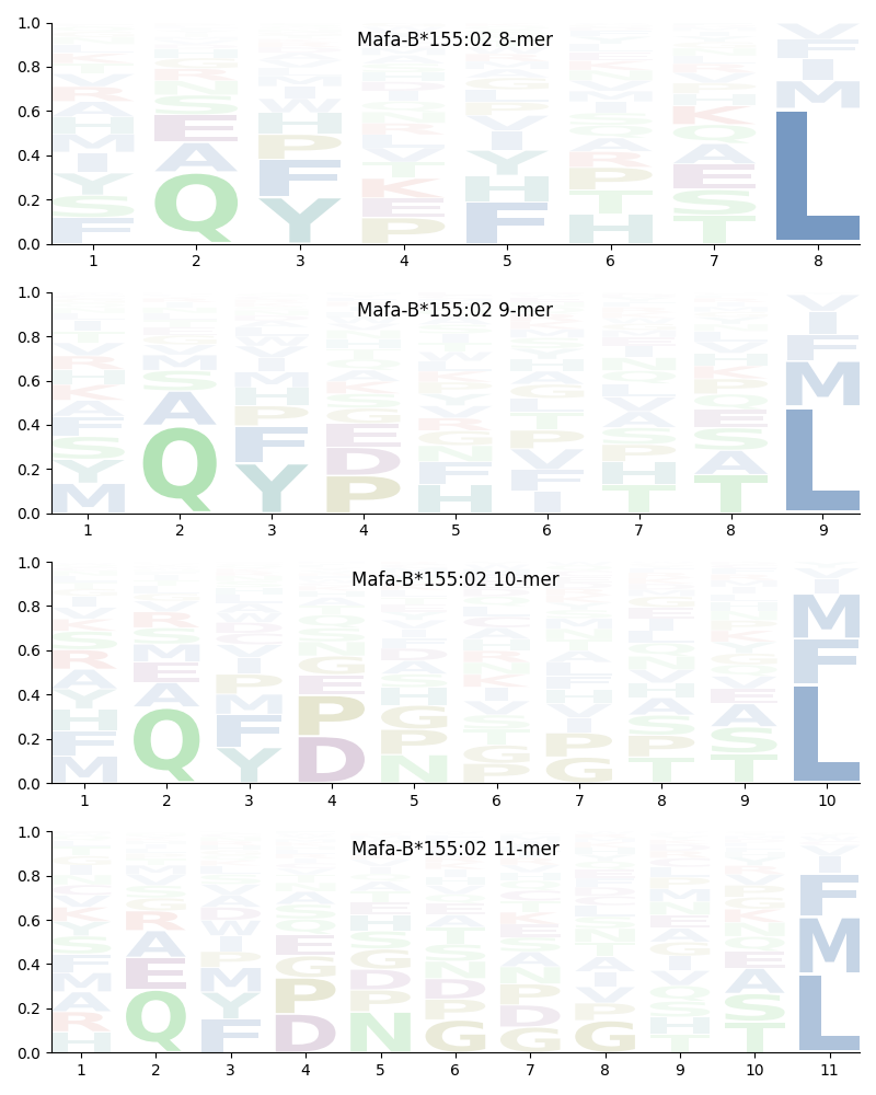 Mafa-B*155:02 motif