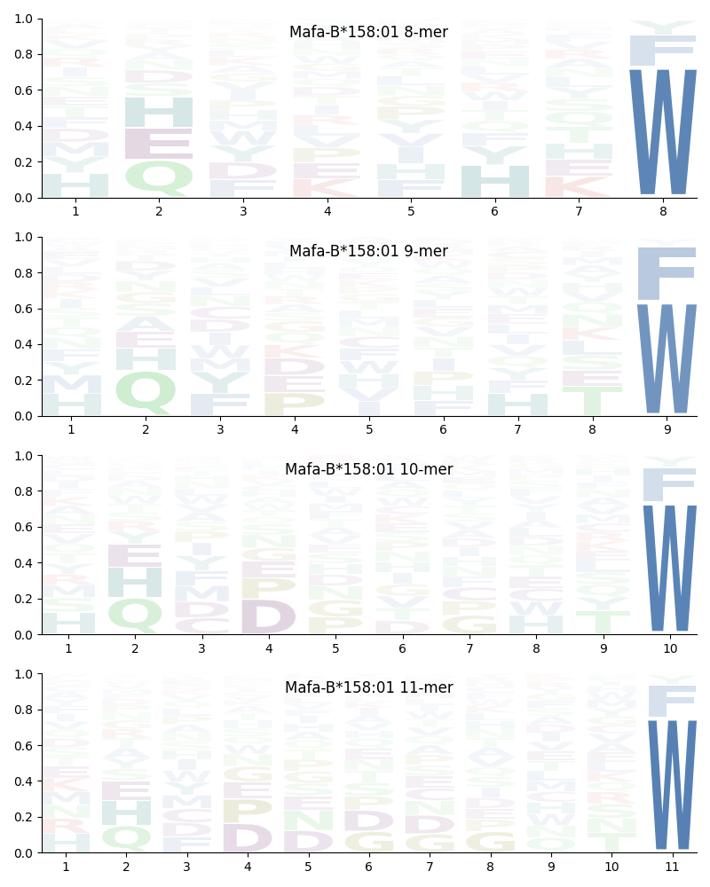 Mafa-B*158:01 motif