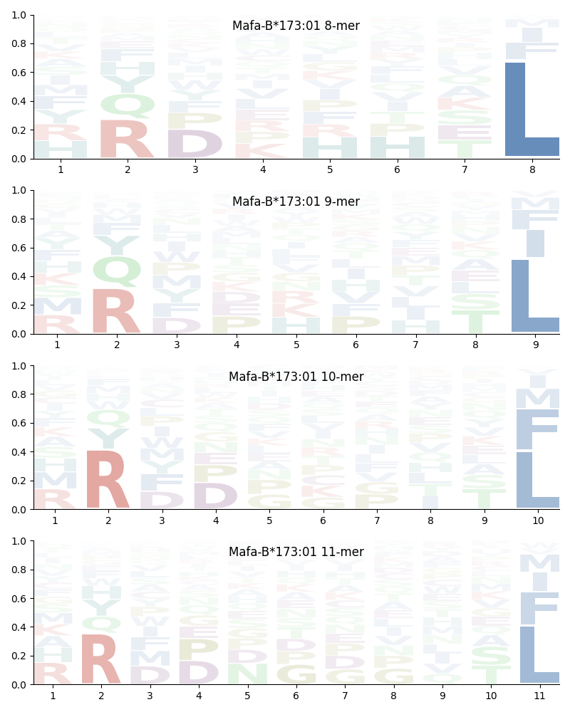 Mafa-B*173:01 motif