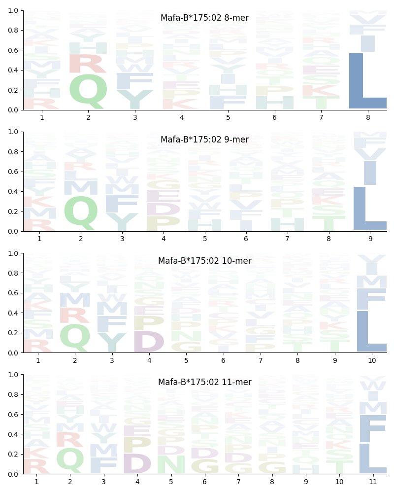 Mafa-B*175:02 motif