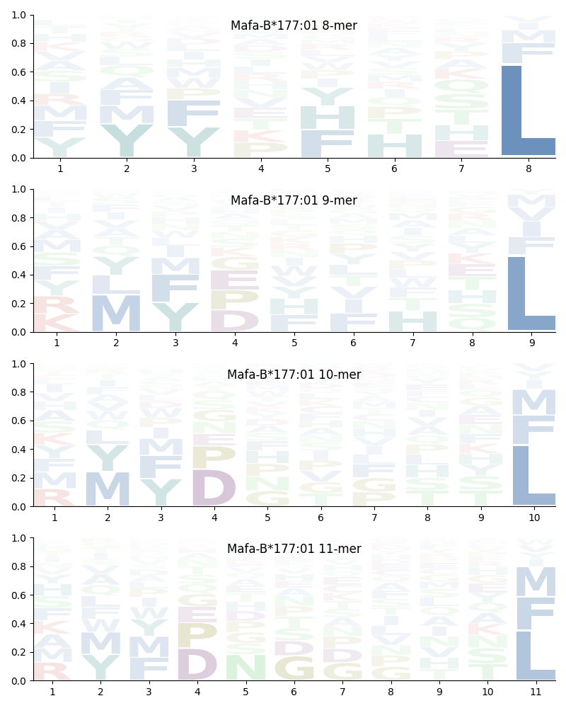 Mafa-B*177:01 motif