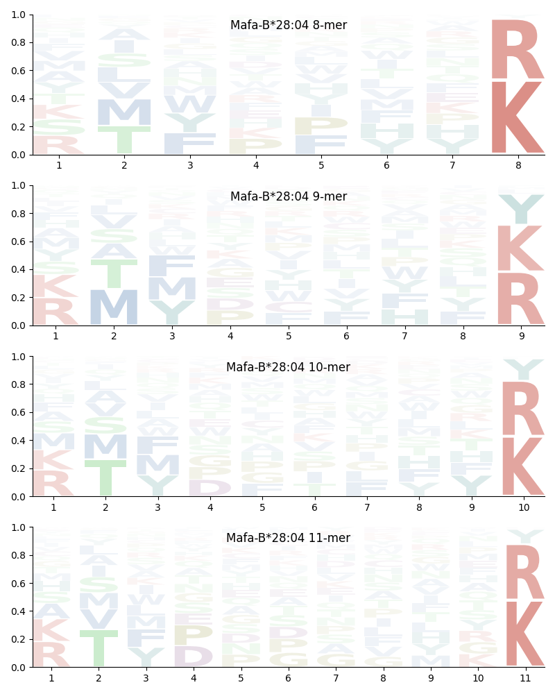 Mafa-B*28:04 motif