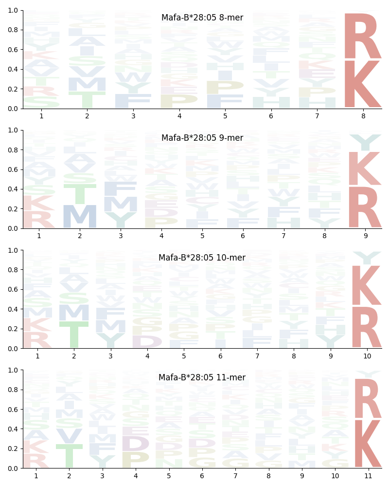 Mafa-B*28:05 motif