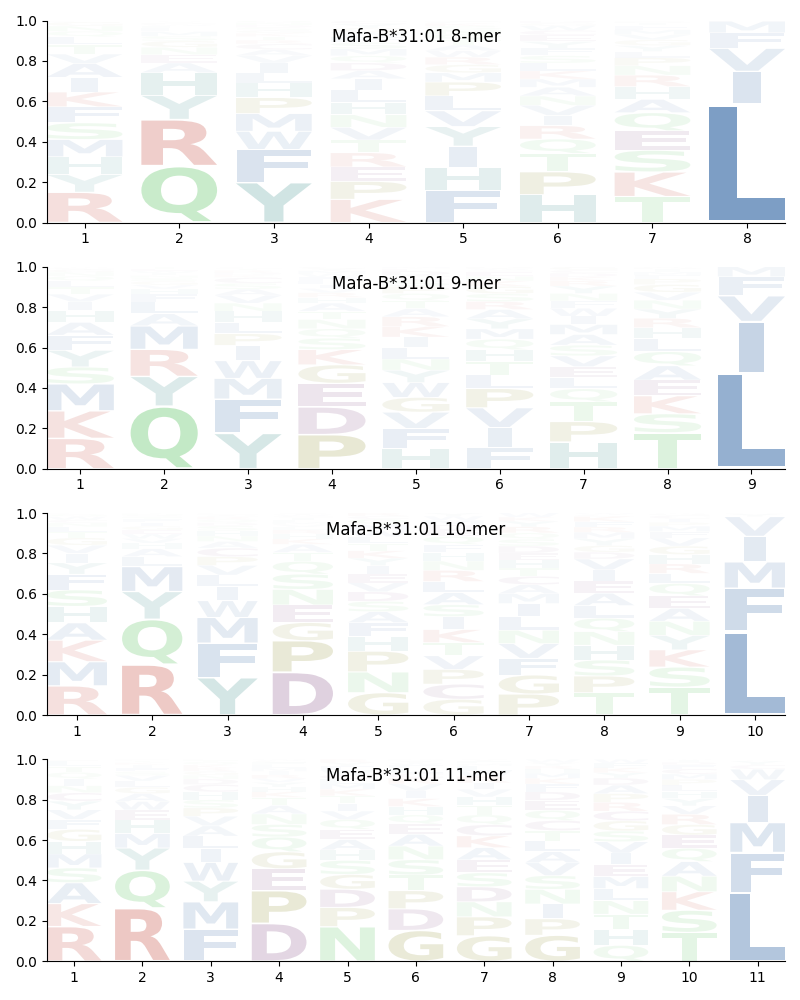 Mafa-B*31:01 motif