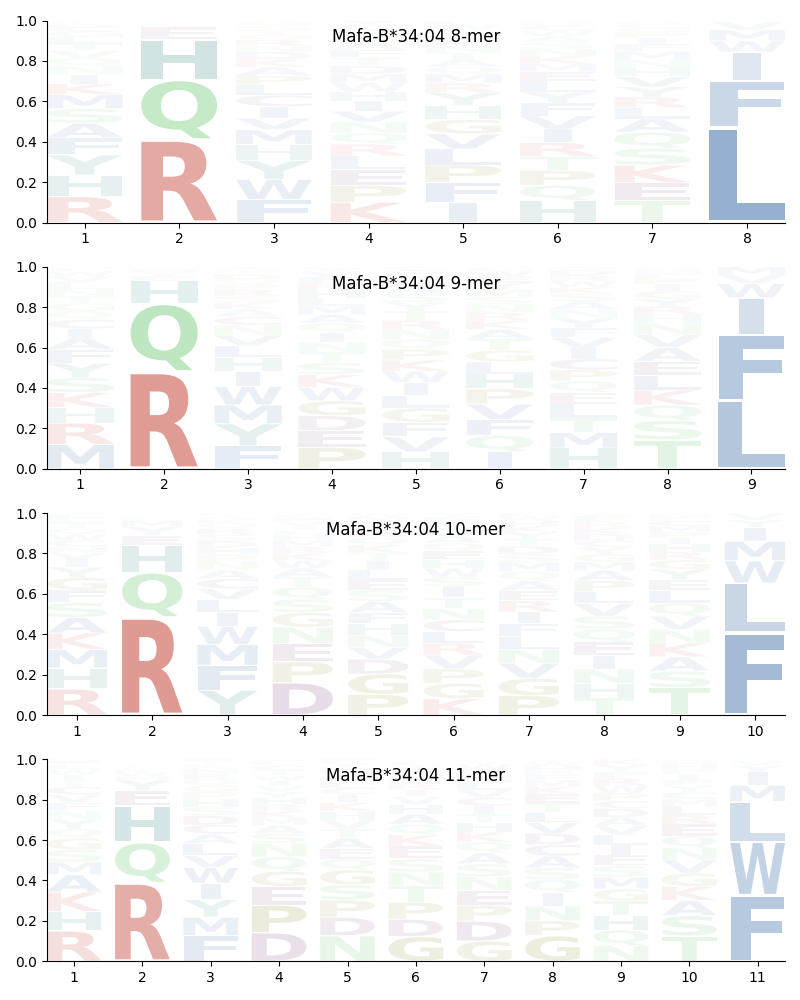 Mafa-B*34:04 motif
