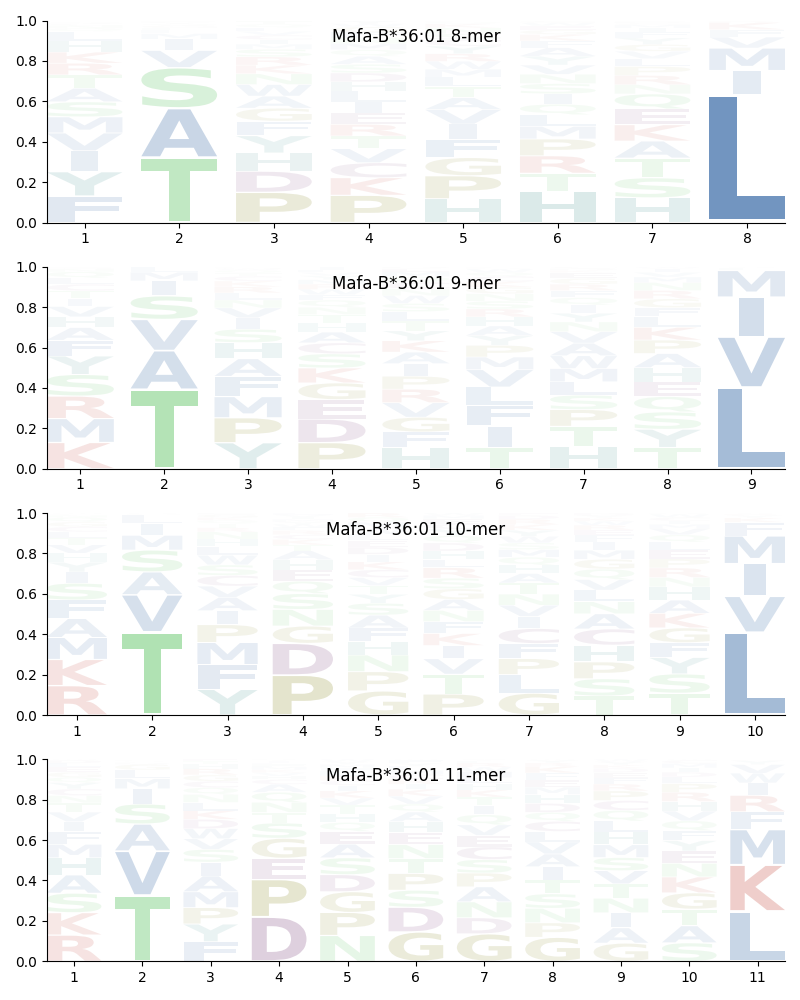 Mafa-B*36:01 motif