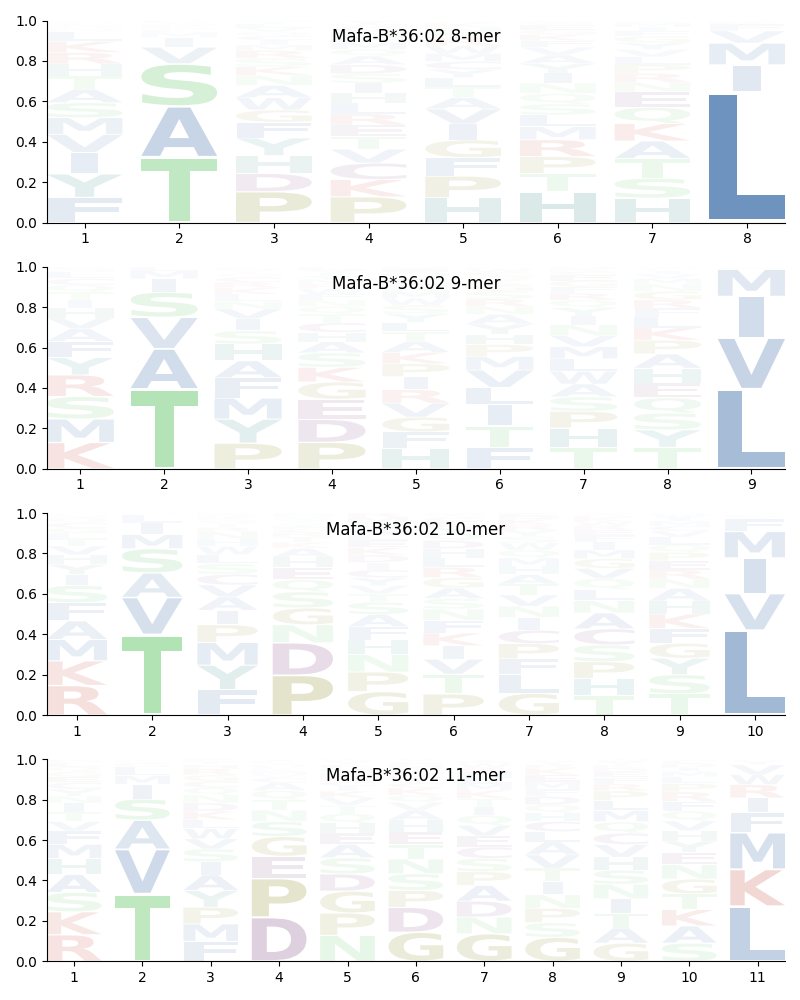 Mafa-B*36:02 motif