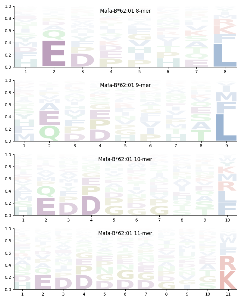 Mafa-B*62:01 motif