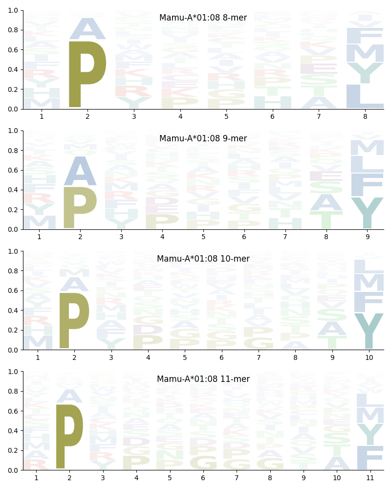 Mamu-A*01:08 motif