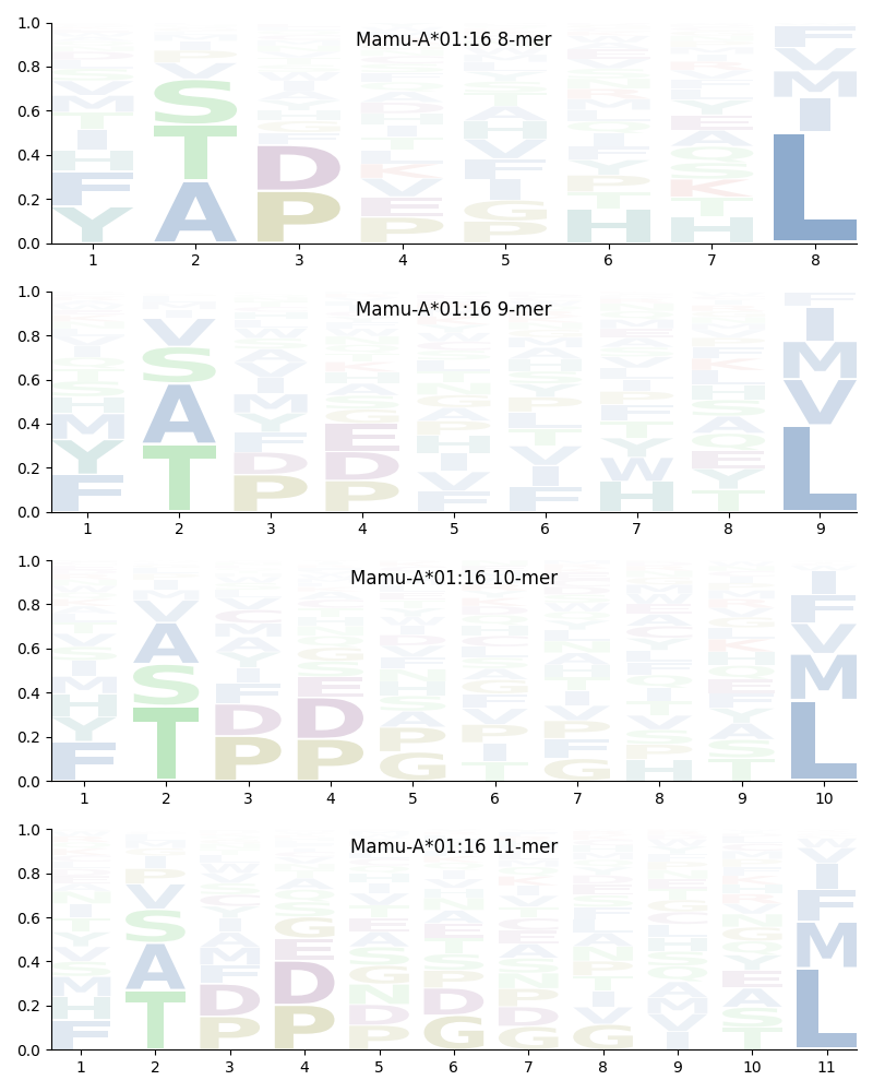 Mamu-A*01:16 motif