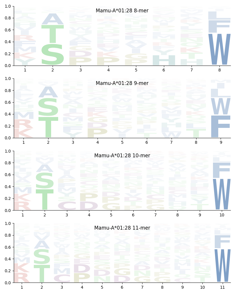 Mamu-A*01:28 motif