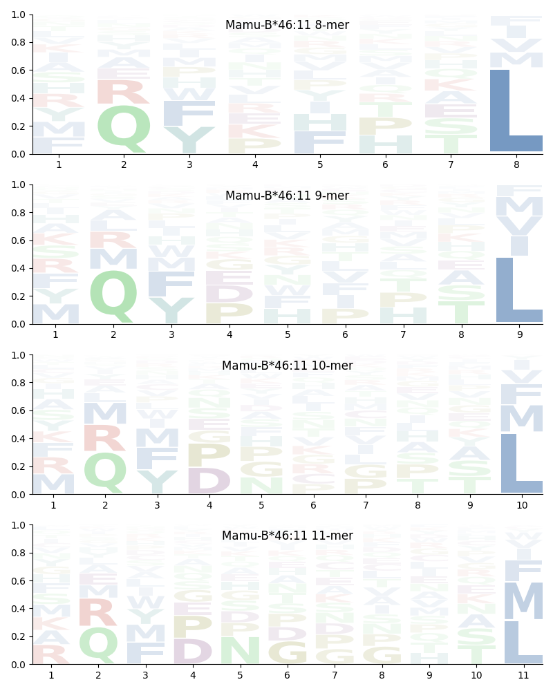 Mamu-B*46:11 motif