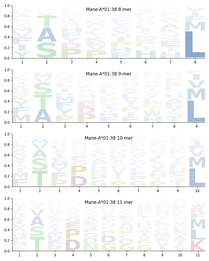 Mane-A*01:38 motif