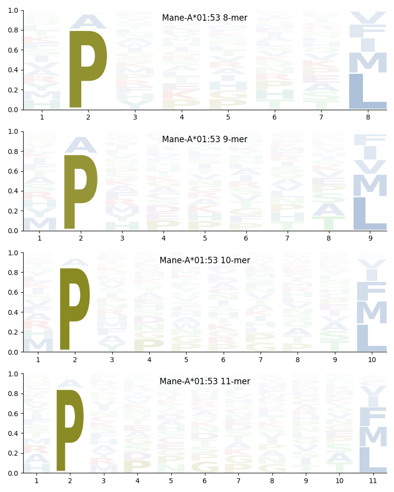 Mane-A*01:53 motif
