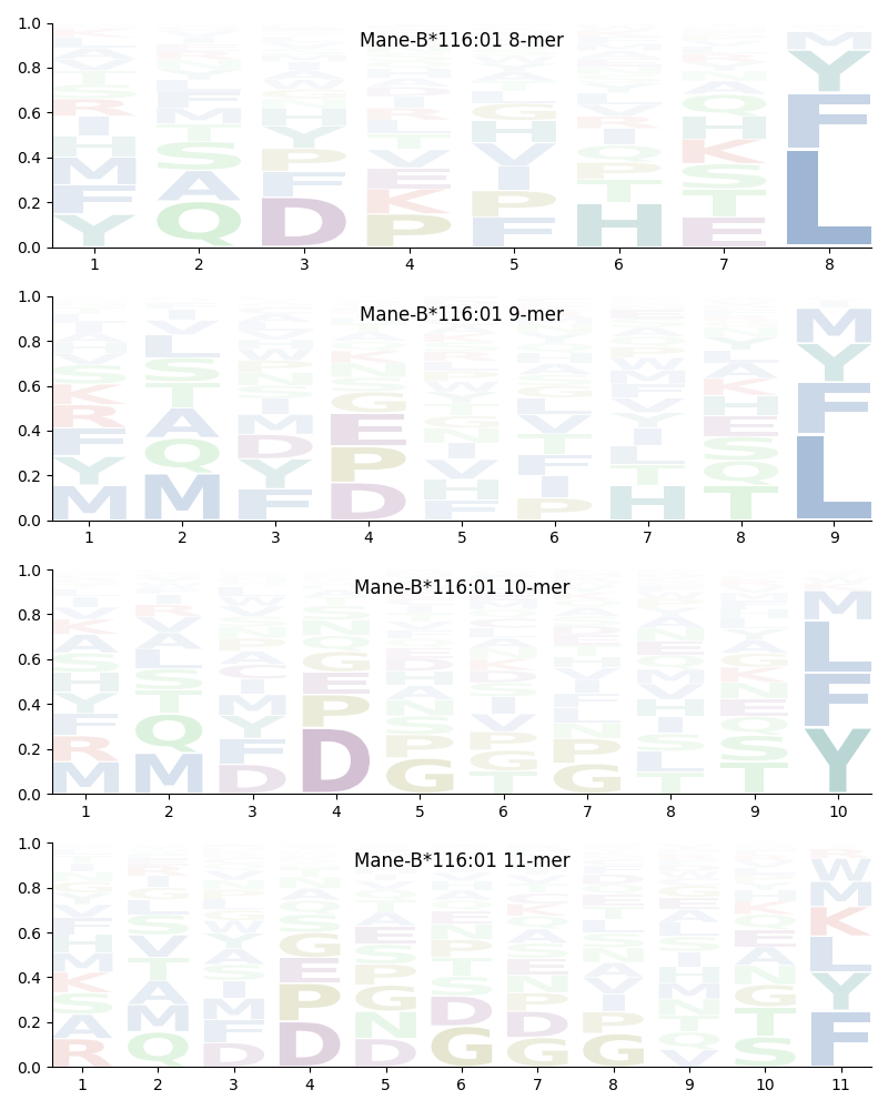 Mane-B*116:01 motif