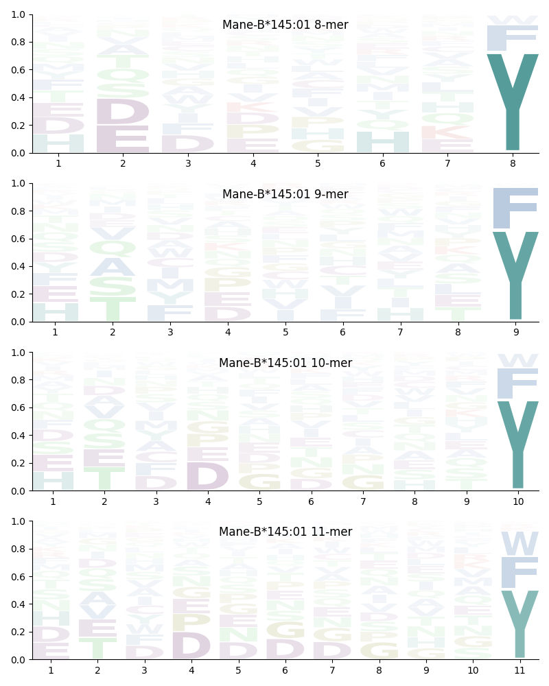 Mane-B*145:01 motif