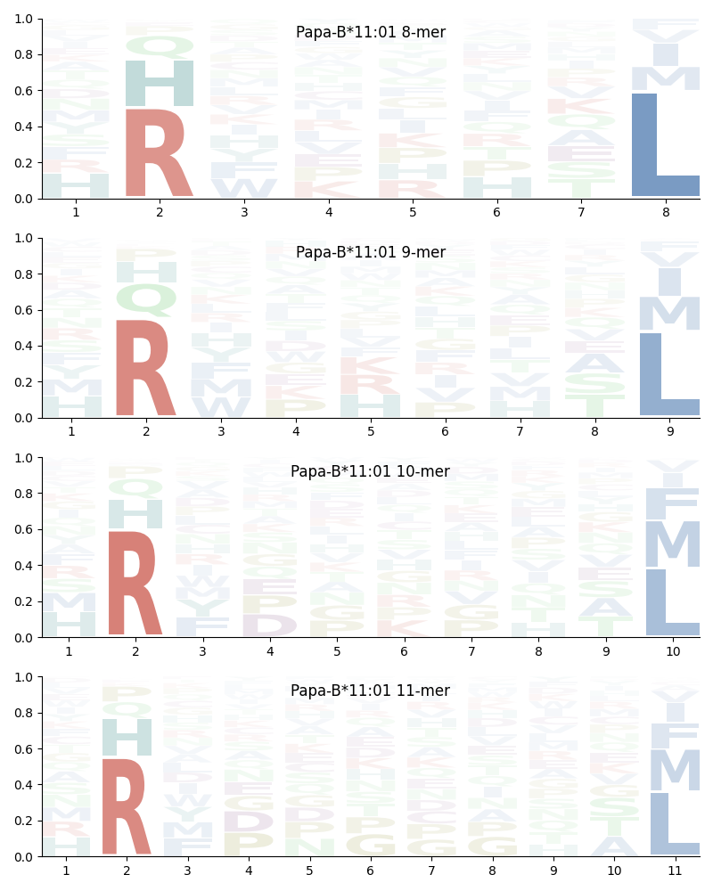 Papa-B*11:01 motif