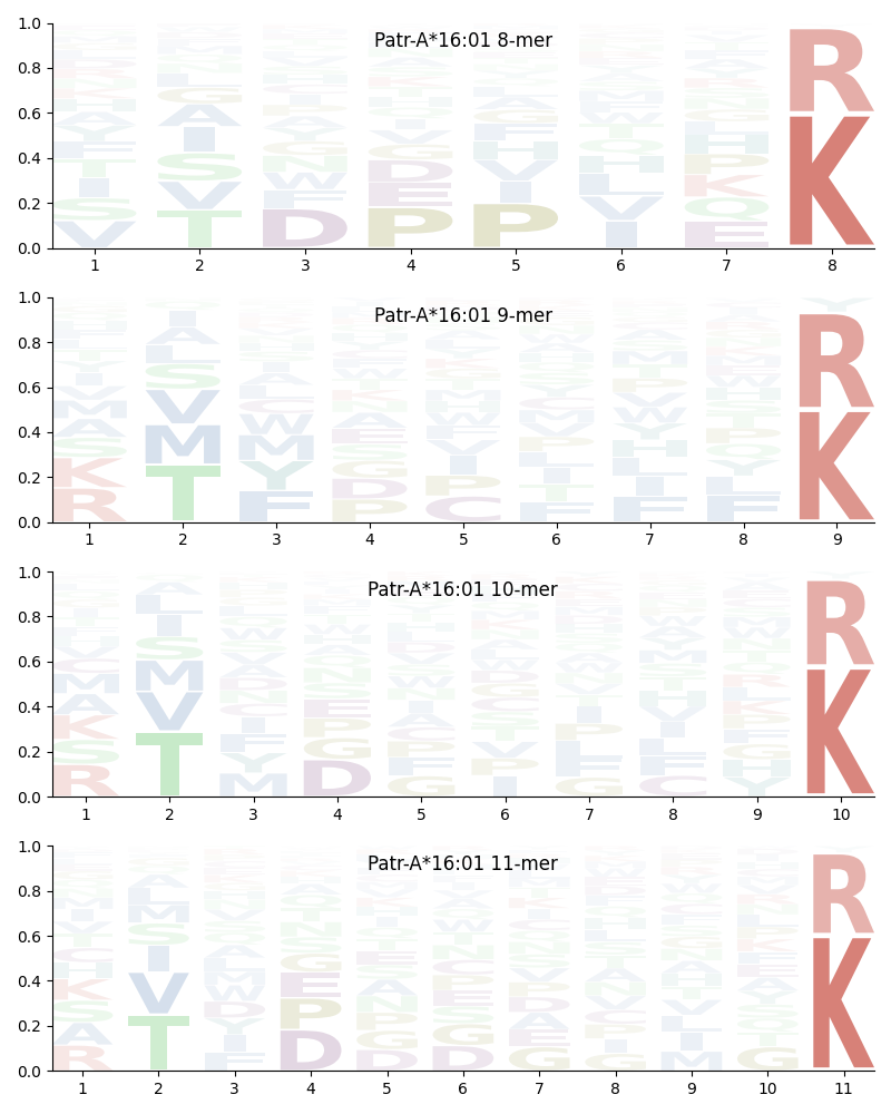 Patr-A*16:01 motif