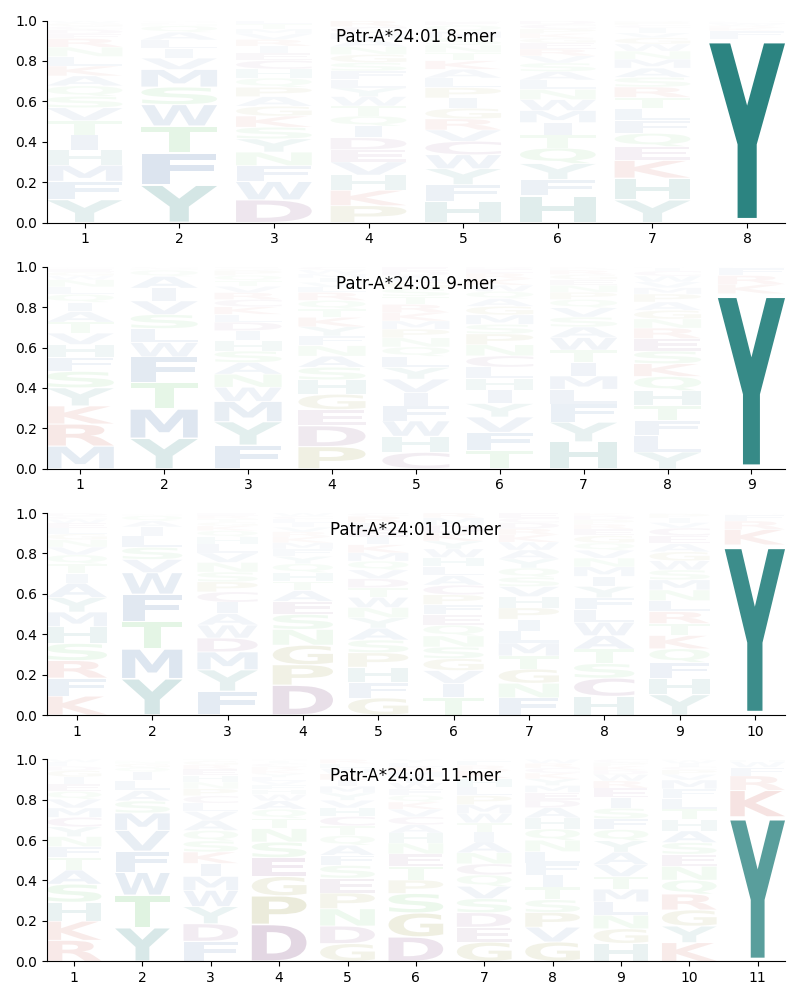 Patr-A*24:01 motif