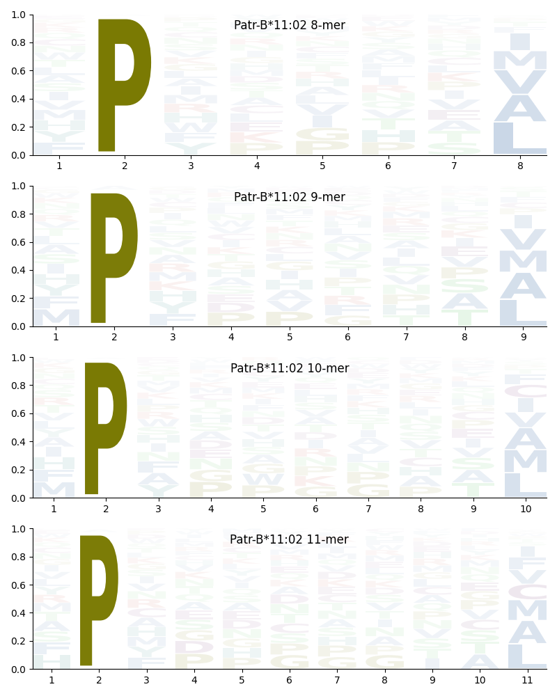 Patr-B*11:02 motif