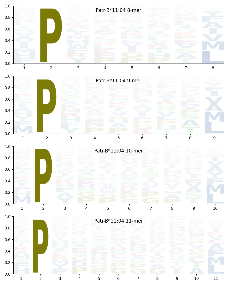 Patr-B*11:04 motif