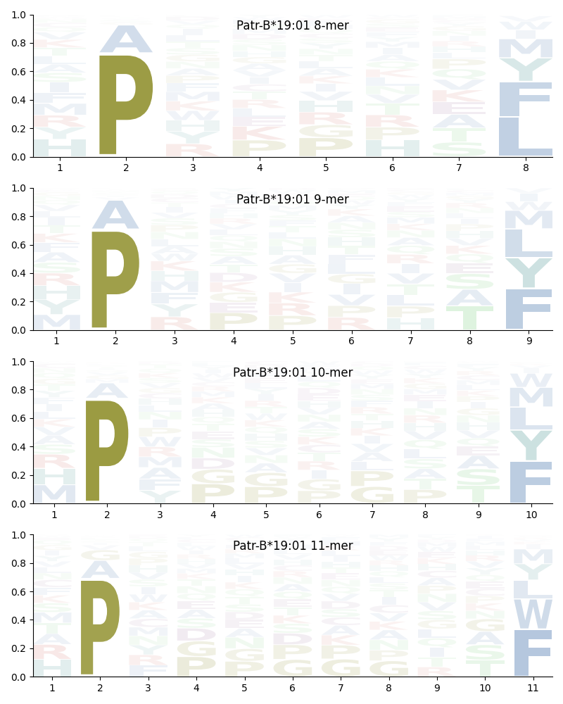 Patr-B*19:01 motif