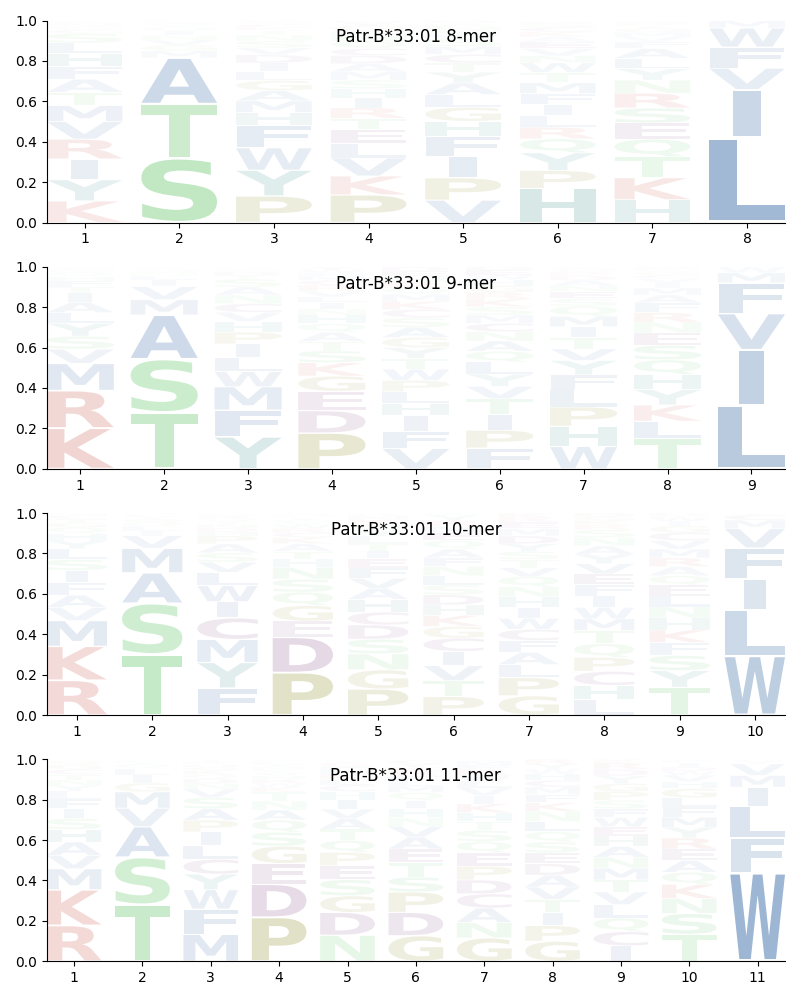 Patr-B*33:01 motif