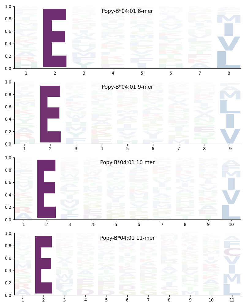 Popy-B*04:01 motif
