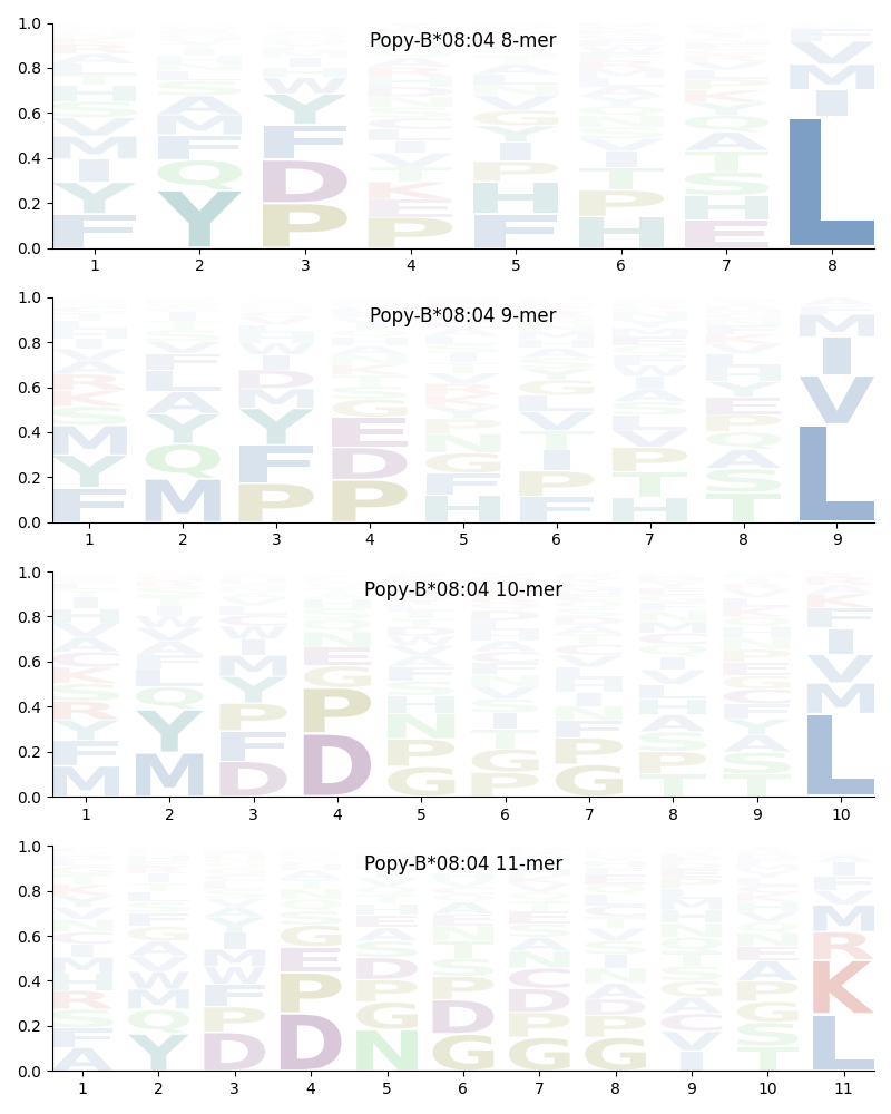 Popy-B*08:04 motif