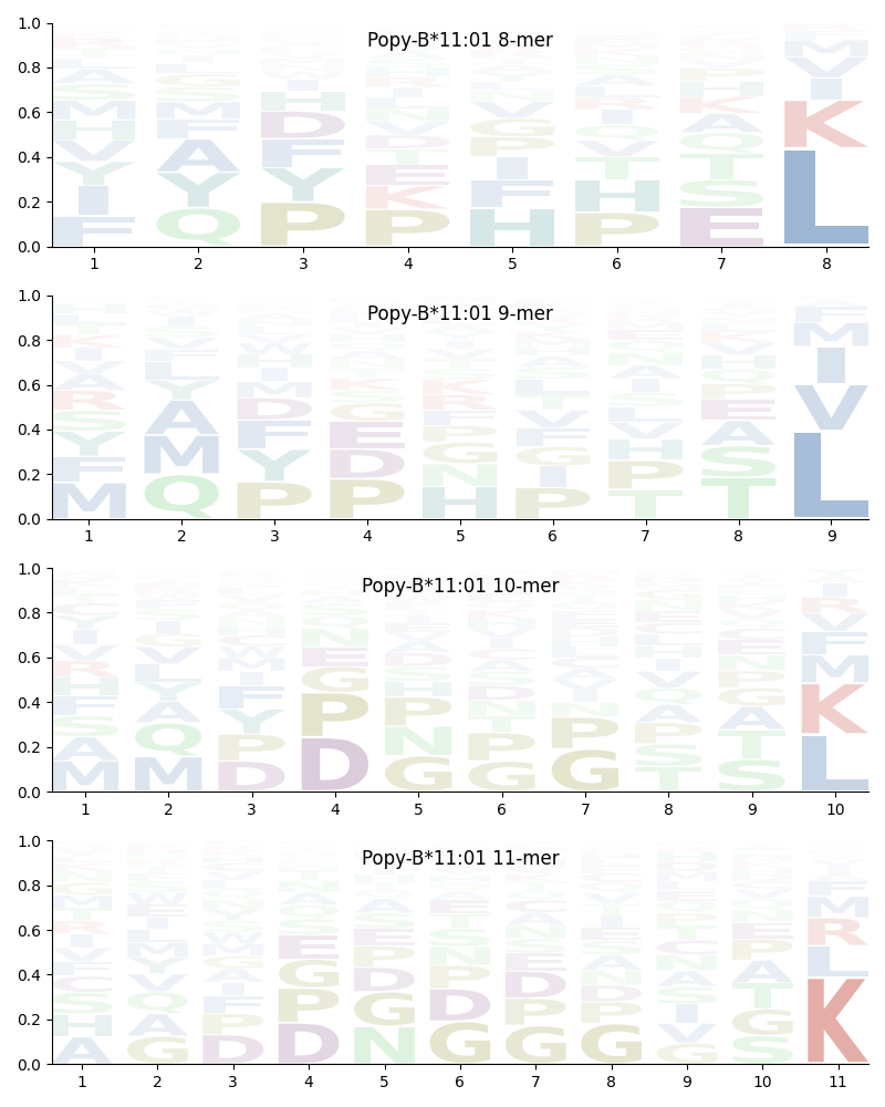 Popy-B*11:01 motif