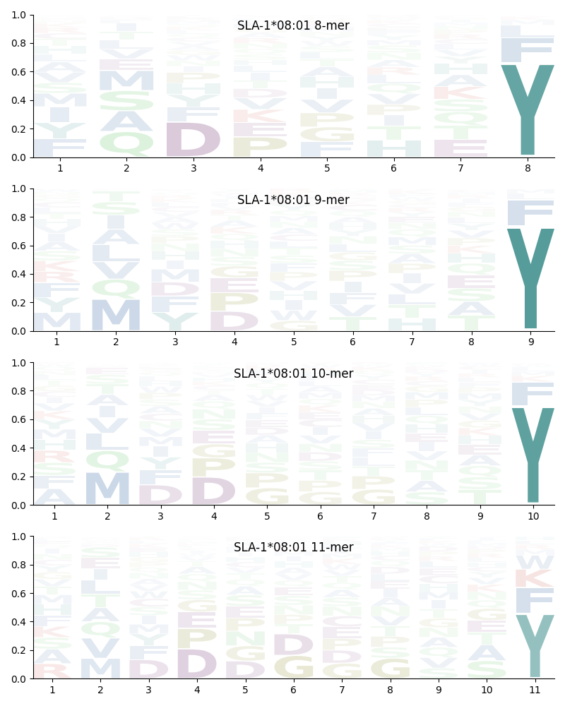 SLA-1*08:01 motif