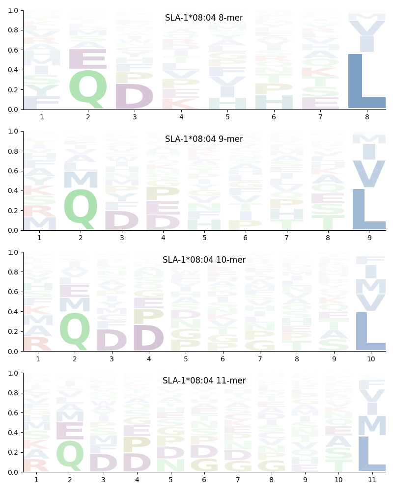 SLA-1*08:04 motif