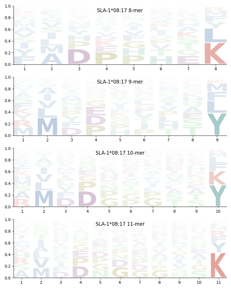 SLA-1*08:17 motif