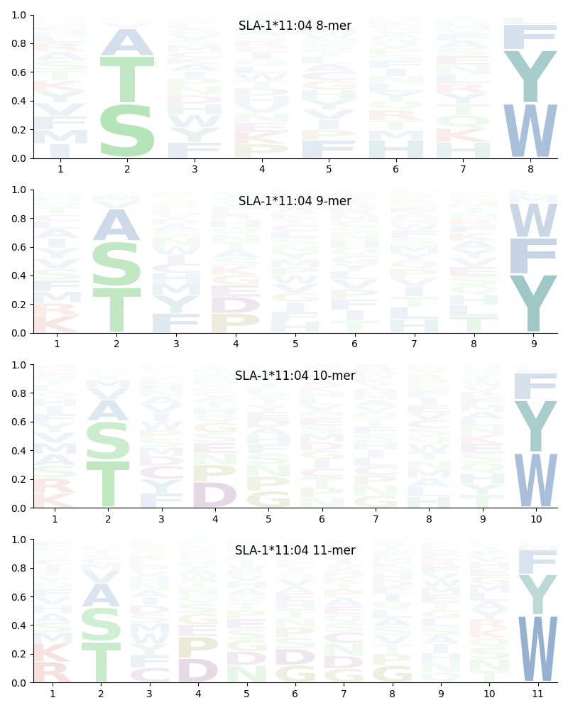 SLA-1*11:04 motif