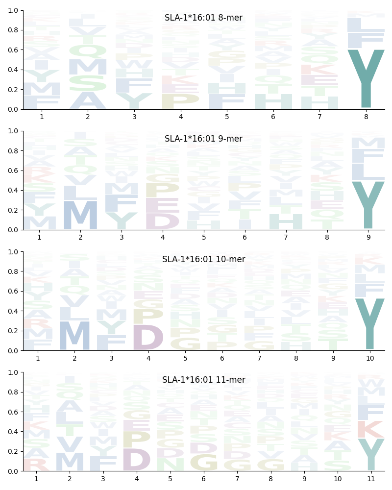 SLA-1*16:01 motif