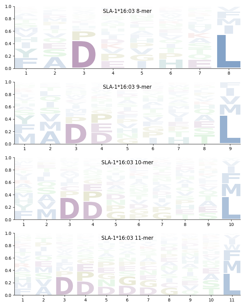 SLA-1*16:03 motif