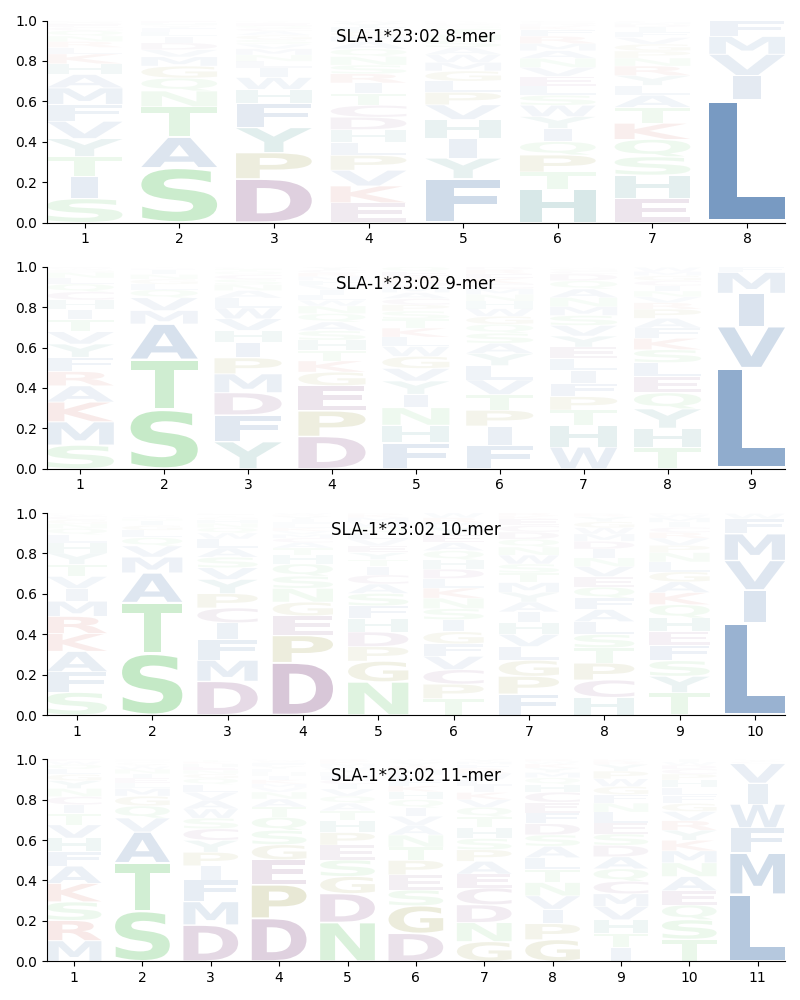 SLA-1*23:02 motif