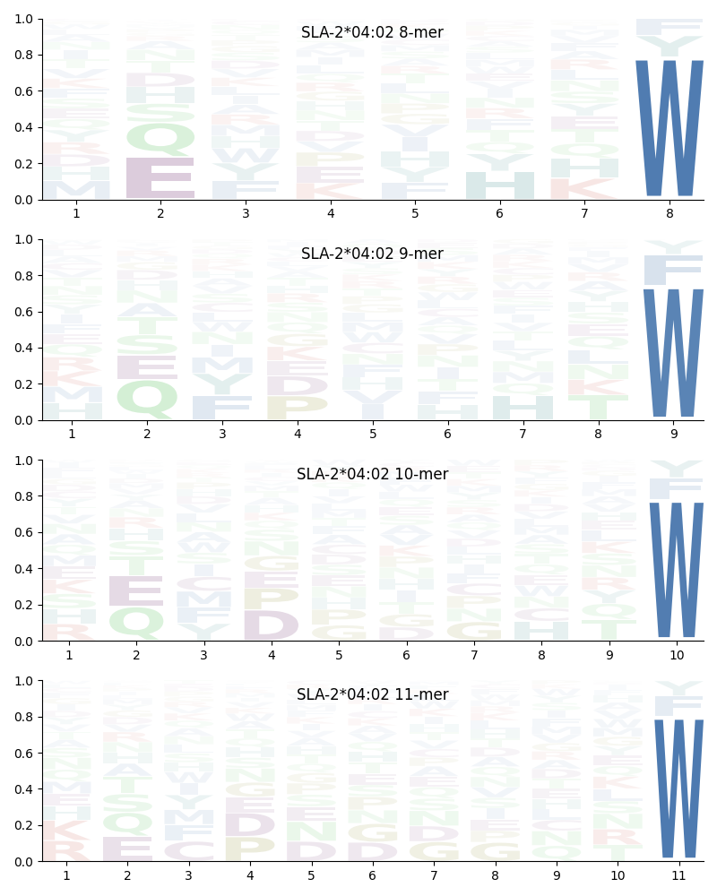 SLA-2*04:02 motif