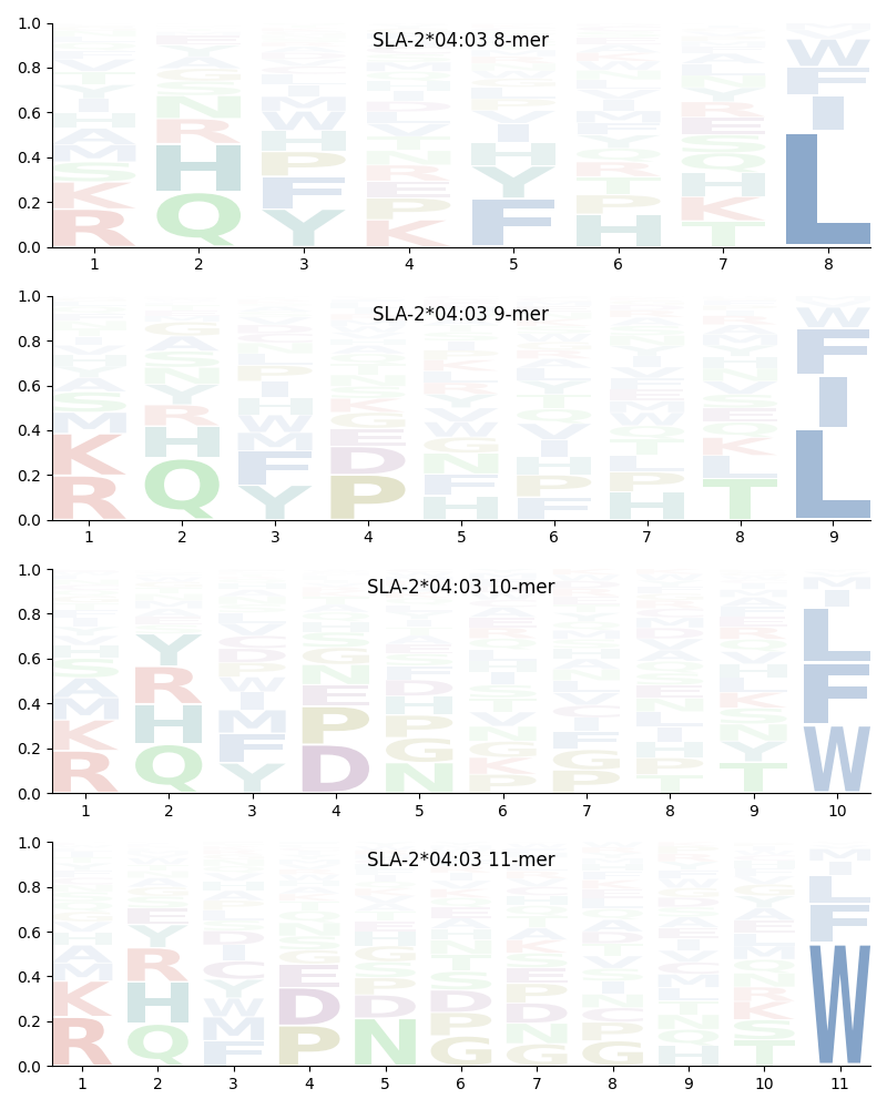 SLA-2*04:03 motif