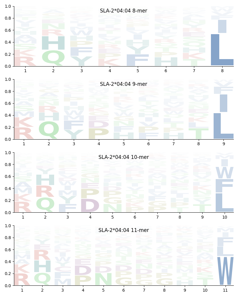 SLA-2*04:04 motif