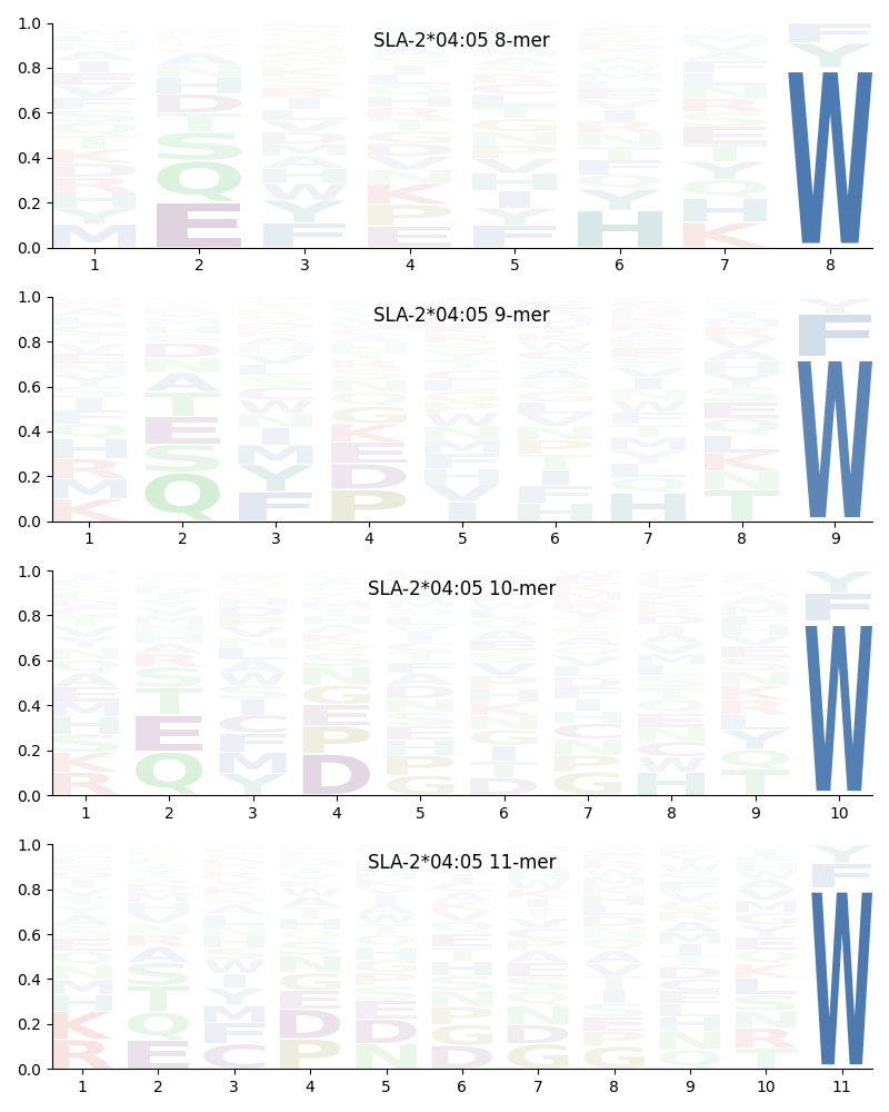 SLA-2*04:05 motif