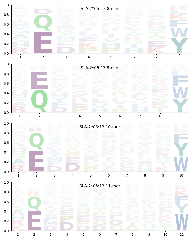 SLA-2*06:13 motif