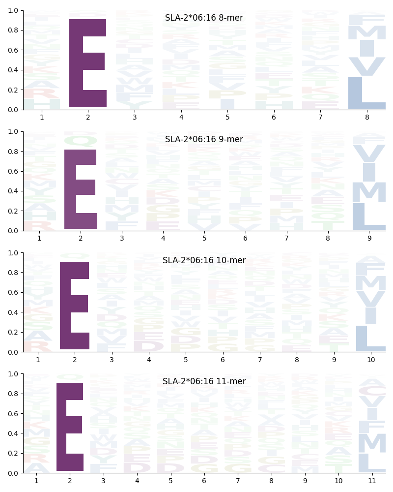 SLA-2*06:16 motif