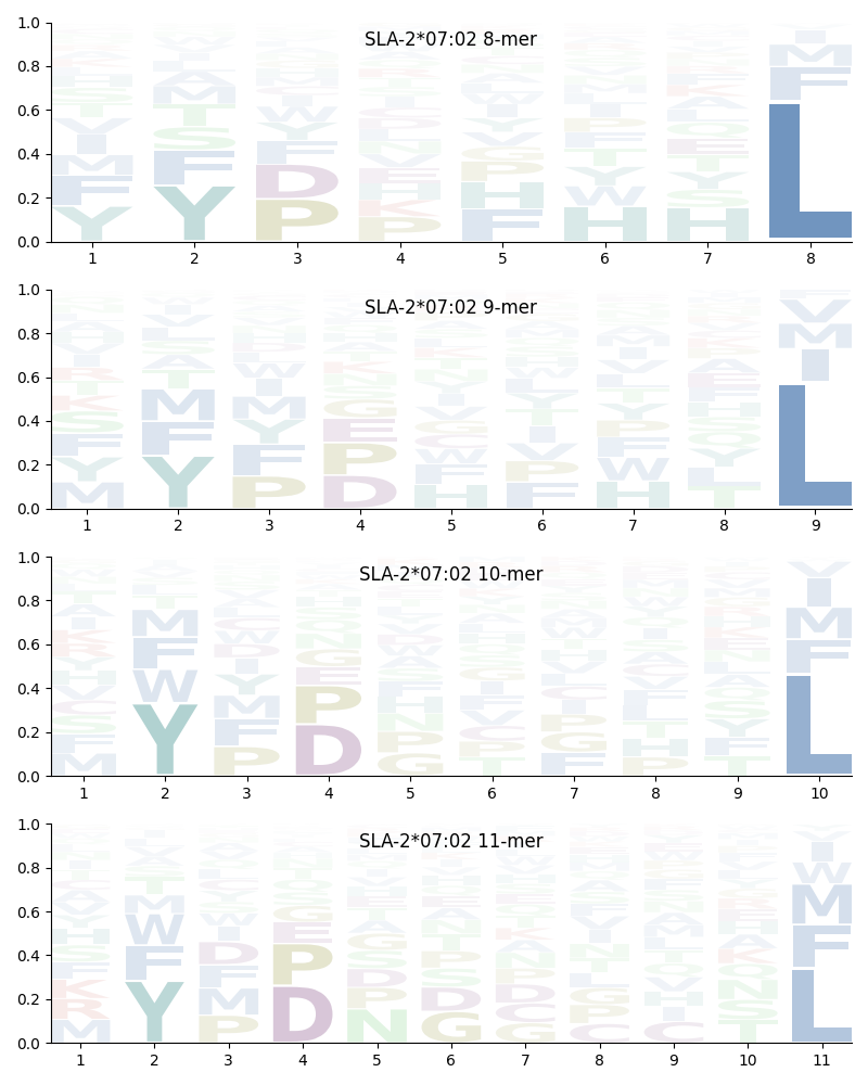 SLA-2*07:02 motif