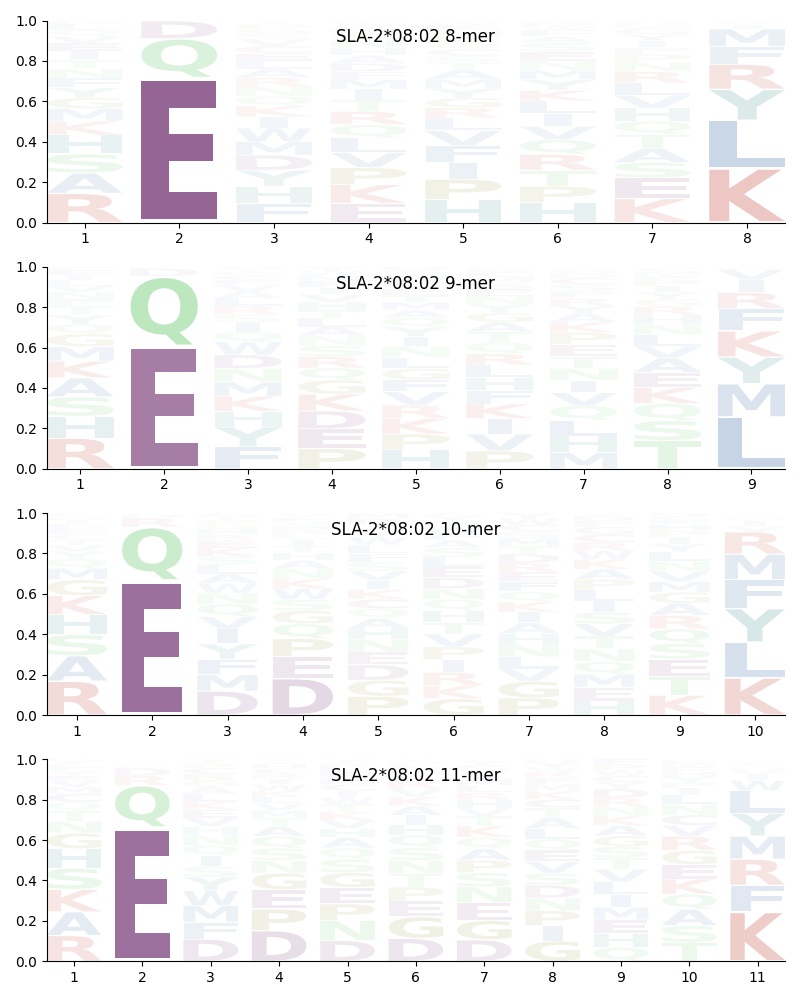 SLA-2*08:02 motif