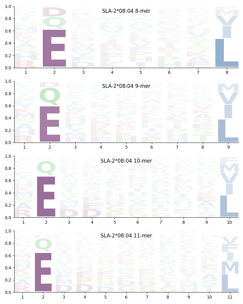 SLA-2*08:04 motif