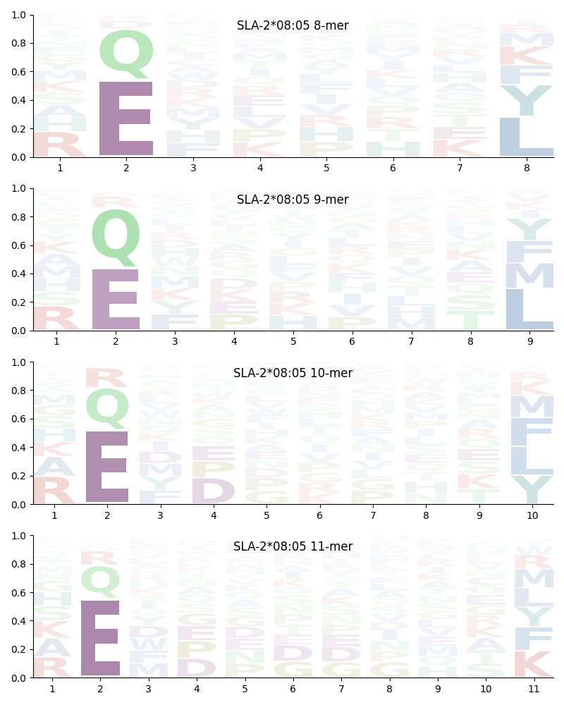 SLA-2*08:05 motif