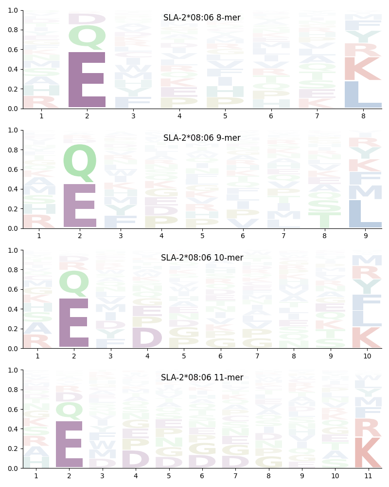 SLA-2*08:06 motif